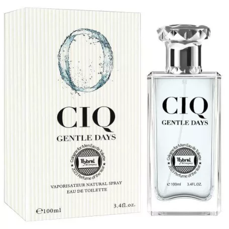 V.V.Love Parfüm 100 ml "CIQ Gentle Days"