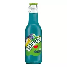 TopJoy 0,25l Szeder-alma DRS