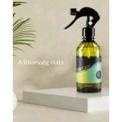 ZenHome Térparfüm 300ml Dream